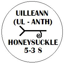 Uilleann - Honeysuckle Ogham